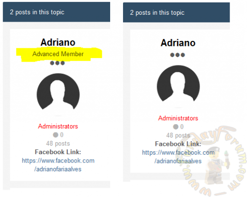 More information about "(SOS41) Remove Member Title from Posts"