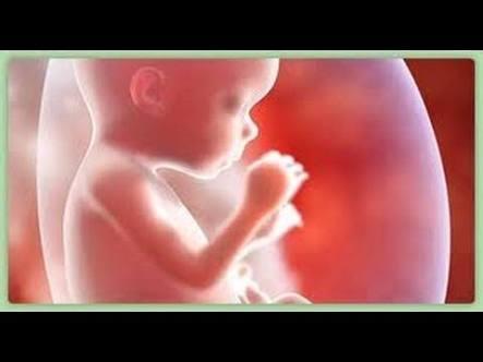 baby.jpg