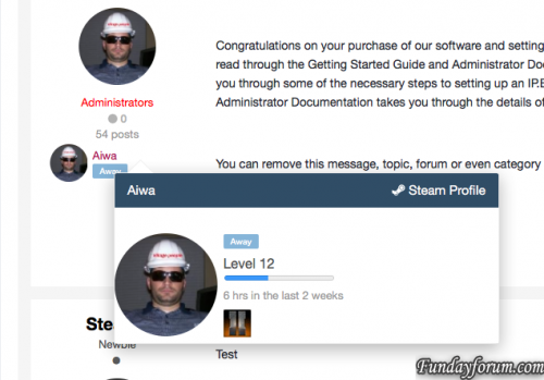 More information about "Steam Profile Integration"