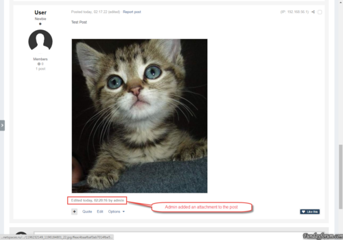 More information about "Bind Attachments to Post Autho"