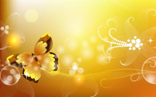 hd-3d-wallpaper-butterfly.jpg