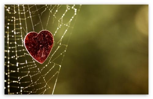 Trap In love wallpaper