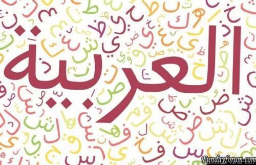 More information about "Arabic Language IPS.Community.Suite.4.1.19.4"