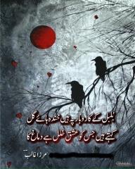 bulbul ky karobaar py