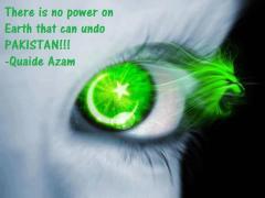 14 AUGUST INDEPENDENCE DAY PAKISTAN Lion