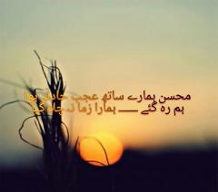 FB IMG 1440015449063 1