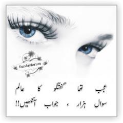 Ajab Tha Guftagu Ka Aalam Swaal Hazar Jawab Aankhain Poetry