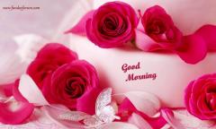 Romantic Roses good morning Hd wallpapers