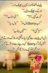 Plate Dil or Sorry