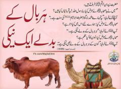 Her baal badle aik naiki eid mubarik 2015