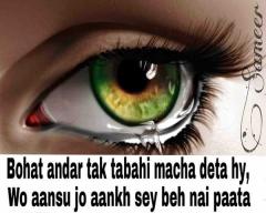 tabahi macha deta hy