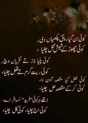 koi ban gaya ronaq pakihiya d