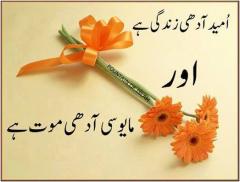 Umeed