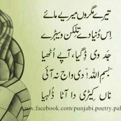 tere mugro'n mere maa'in