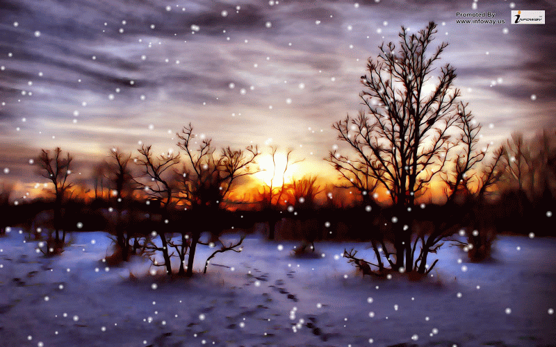 Winter-Nature-Snow-Scene-gif