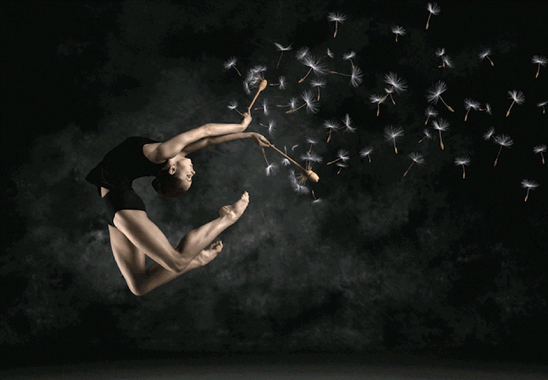 animated-feeder_flying