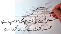 maine her sham yahi socha hai