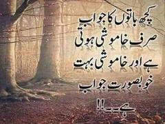 khamoshi bahtreen jawab