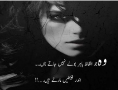 ander cheekhain marte hein