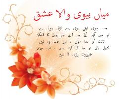 miyan bewi wala ishq funny