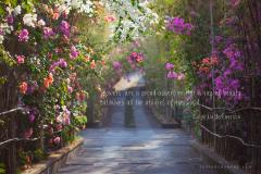 flowers Are A proud assertion that A Ray Of beauty outvalues All The utilities Of The world