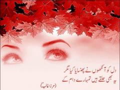 Miraza Ghalib- Dil ko ankhon ny phansya