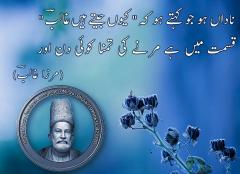 Ghalib Poetry