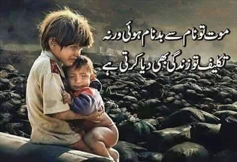 FB_IMG_1536901020669.jpg