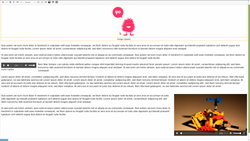 More information about "CkEditor Media Widget"
