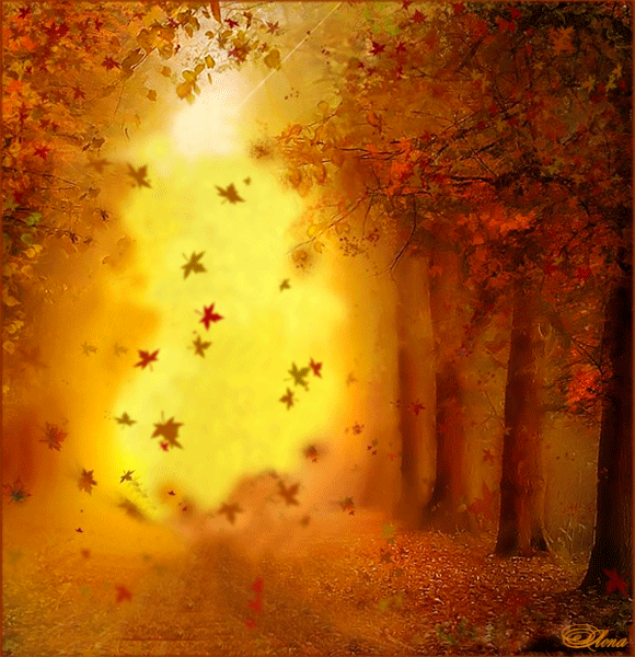 eedb1e14c3f989cc58b3ff7eaf32fad2